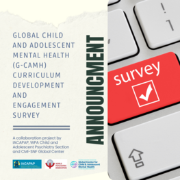 G-CAMH Curriculum Development and Engagement Survey