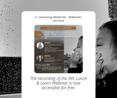 Announcement | The recording of the 9th Lunch & Learn Webinar is now accessible for free