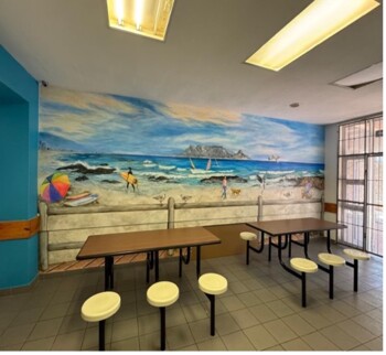Creating Adolescent Friendly Psychiatric Spaces in a Public Hospital in Cape Town: Possibilities in LMIC Settings