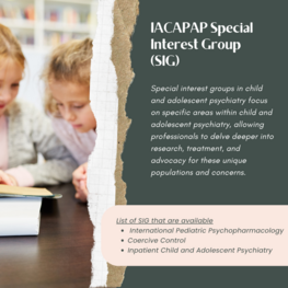 Special Interest Group (SIG)